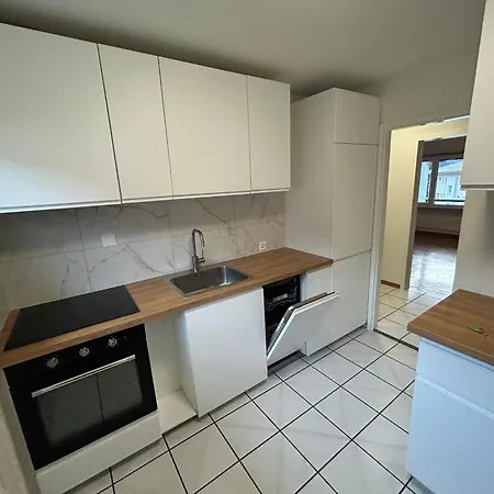 Topview 2br Balcony & Mountain View Interlaken * Unterseen